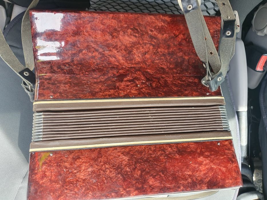 Детски акордеон мальш със кутия малиш