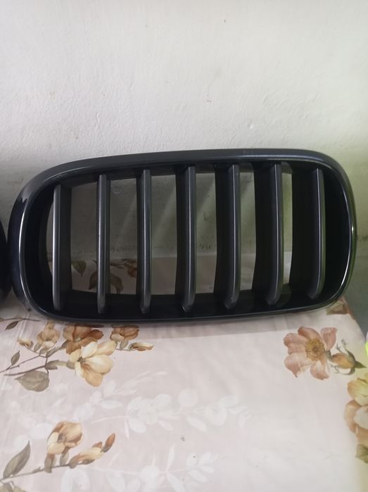 Ornament bara fata BMW x6