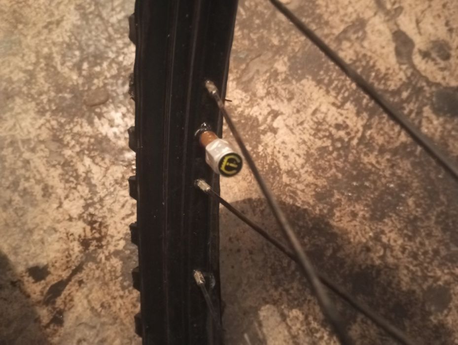 Велик описание ↓