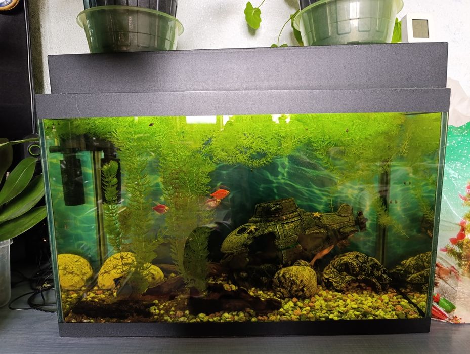 Аквариум 60 литров