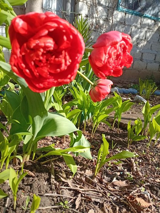 Продам излишки. Недорого