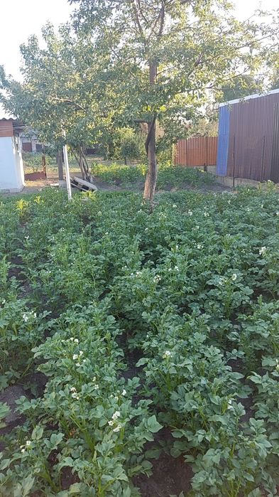 Продам дом в поселок Шмелев лог, улица Рылеева