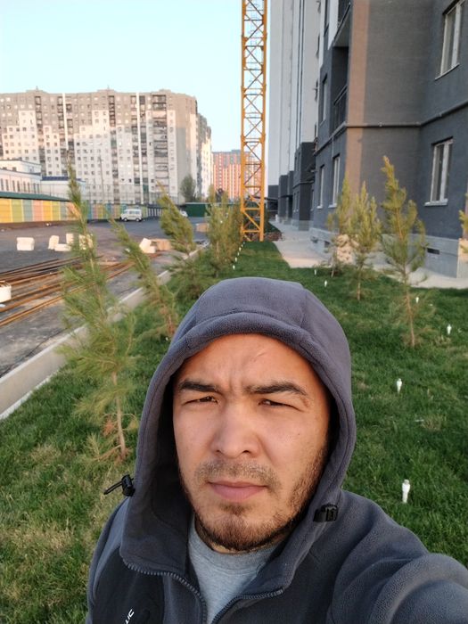 Sifatli Gazon. Narxlar optom shaxar bo'ylab