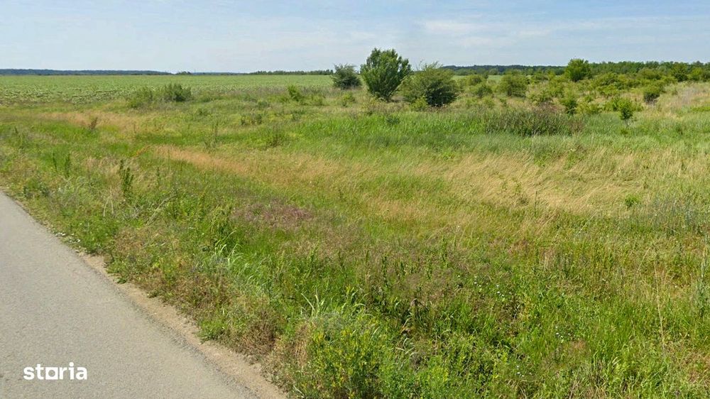 Teren intravilan 16 Ha, tangent DR4, acces dublu la asfalt