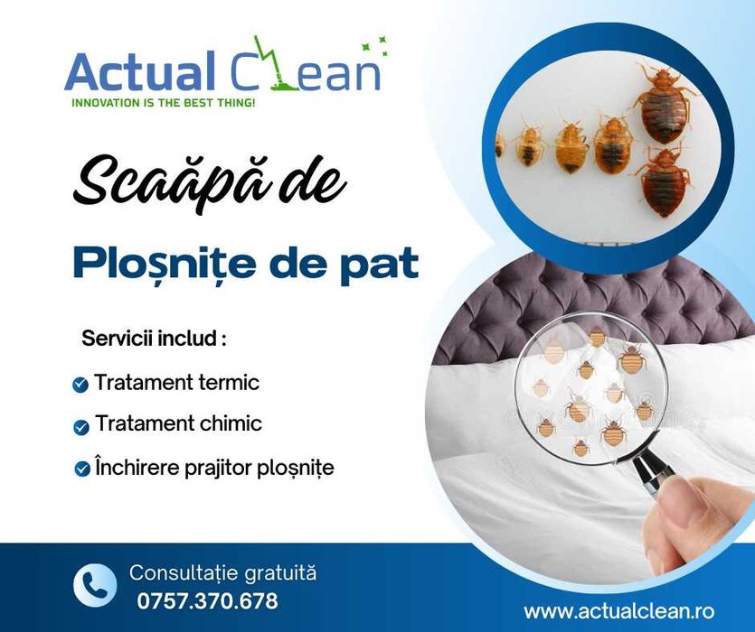 Dezinsectie plosnite de pat Cluj , Baia Mare, Oradea, Satu Mare, Zalau