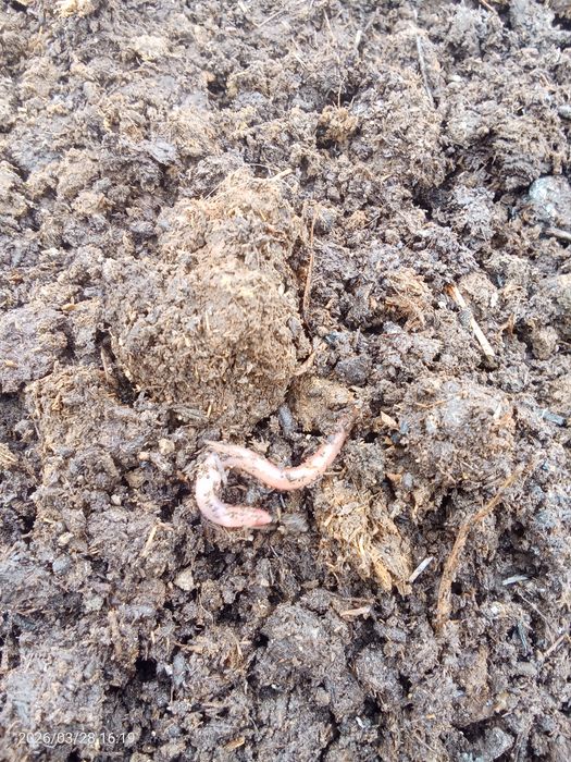 Навоз сатылады 700тг