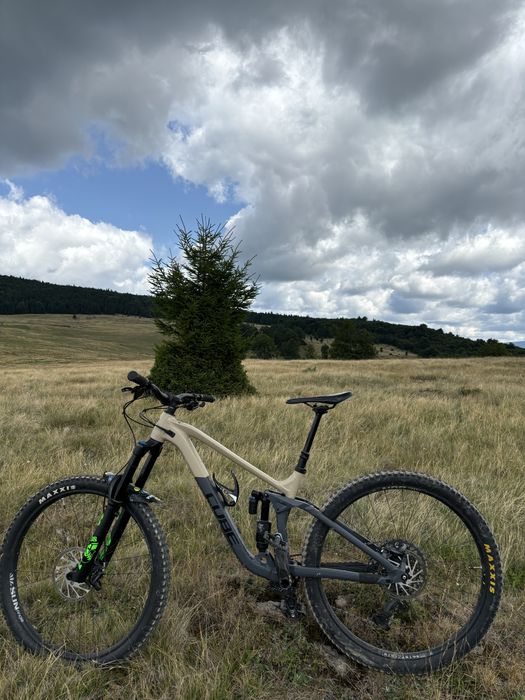 Cube stereo 170 race 29 L (MTB Enduro)