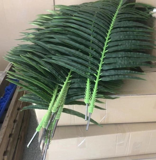 Palma daraxti barglari sotiladi xar xil razmerda