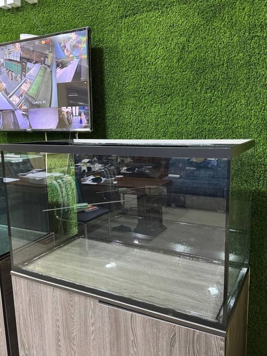 Akvarium baliqlar uchun