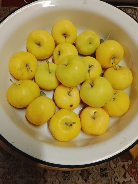 Продам яблочки, сливу, облепиху
