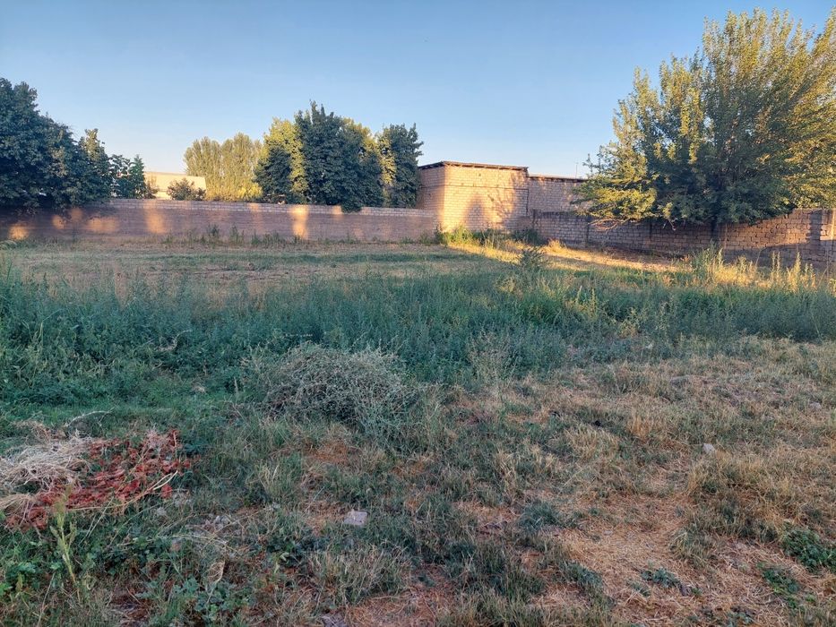 Yer sotladi 10 sotx nurafshon tòytepada