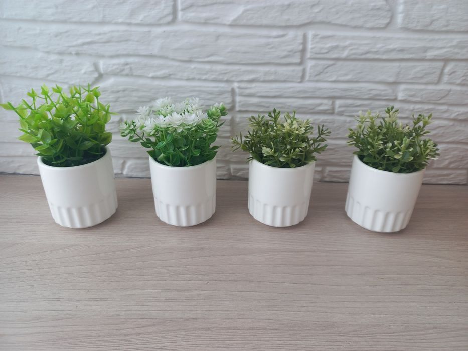 Новые искуственные растения