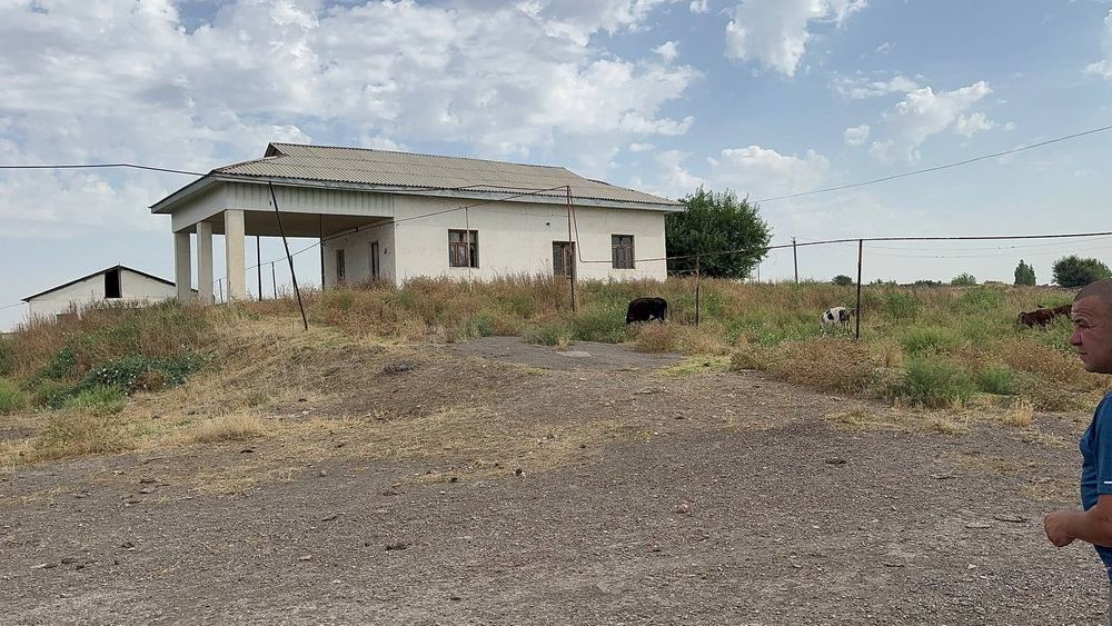 Ferma sotiladi yer narxida