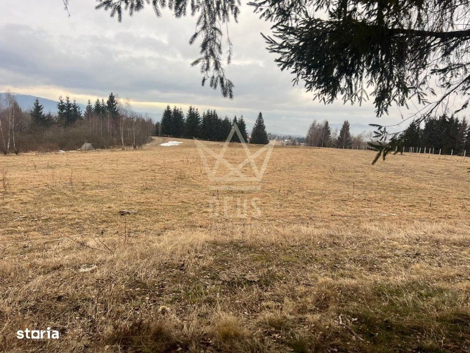 Teren Rasca-Zona Superba, cu acte, care poate fi introdus in  intravil