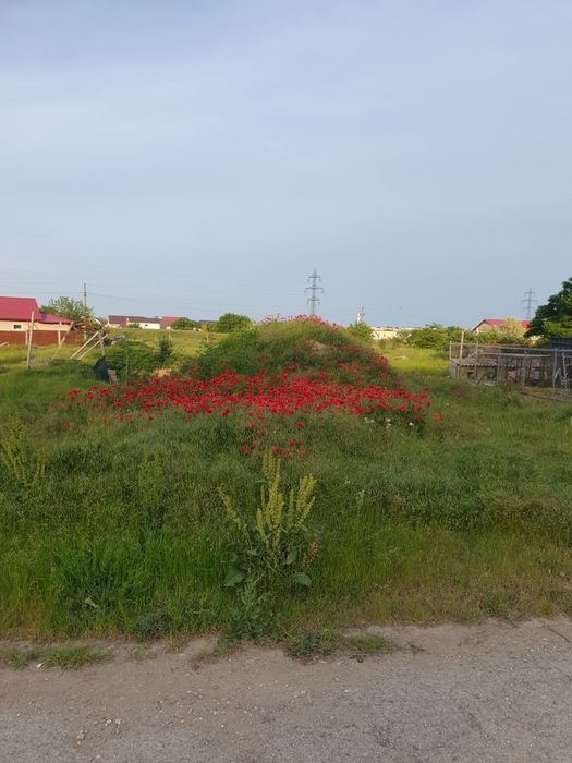 Loturi teren intravilan Valu lui Traian 449mp!