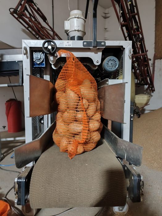 Cartofi de consum Paradiso