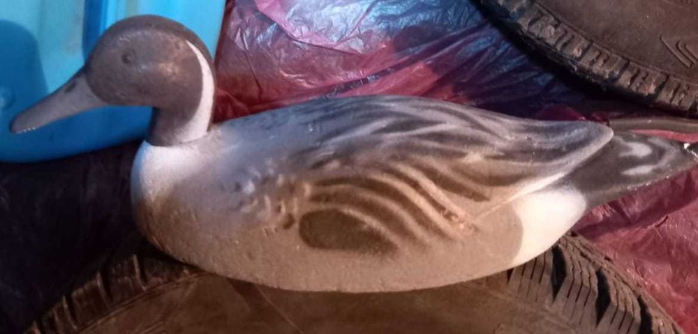 хобби, отдых, спорт