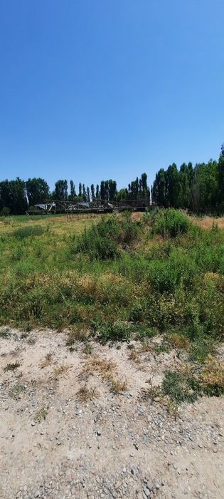 Uchastka sotiladi 20 sotix