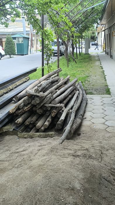 утунга болорчалар сотилади
