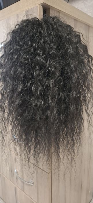 Афрохвост на крабе афролоконы 40 см