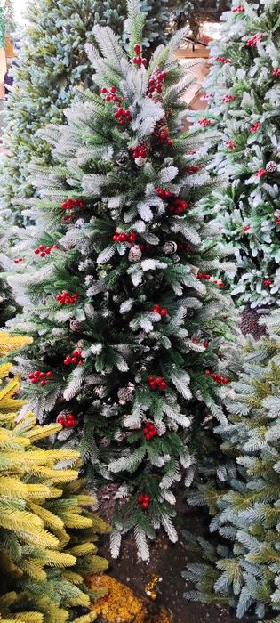 Archalar optim narxlarda