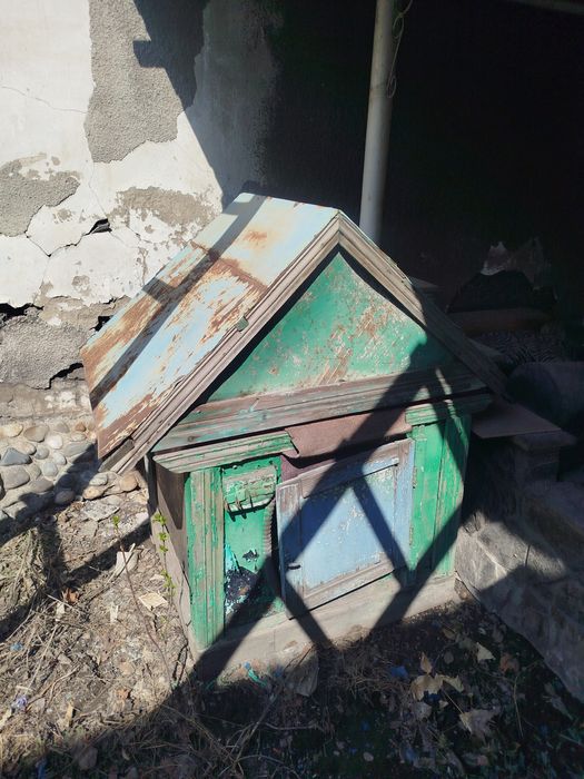 Бутка для собаки