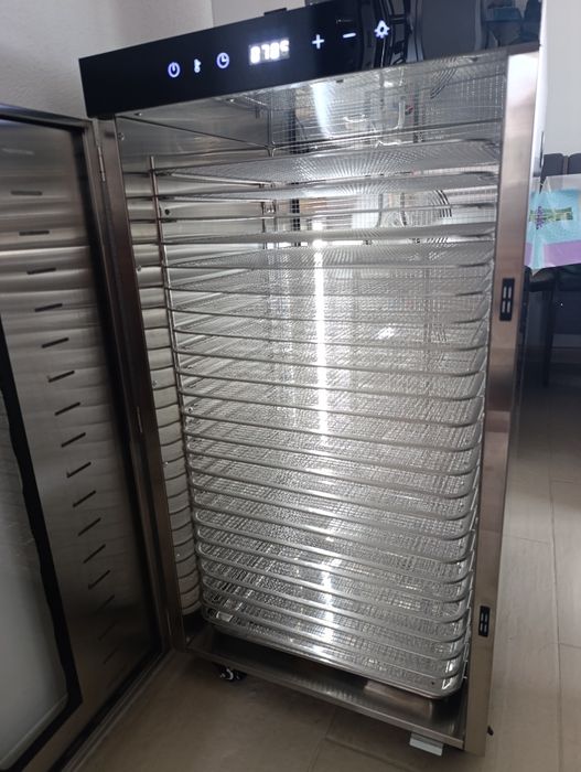 Cuptor deshidrator profesional inox 24 tavi 2kw 220V