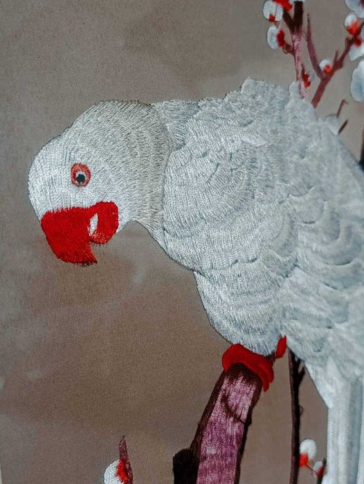 картина Белый попугай