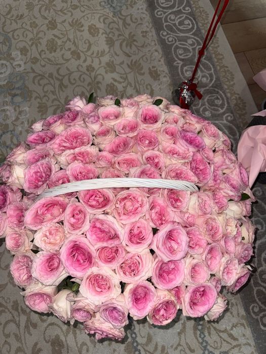 Цветы свежие роза