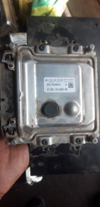 Эбу гранта калина