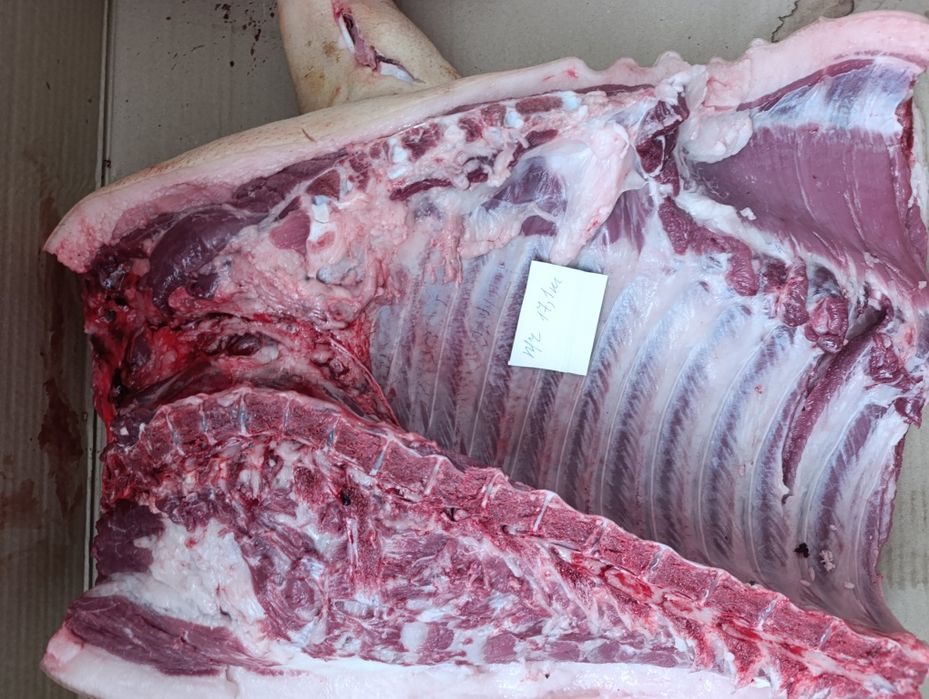 Свежее мясо свинины