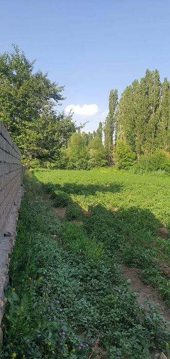 Yer sotiladi 30 sotix 2ta 15 dan qilib olsa xam boʻladi