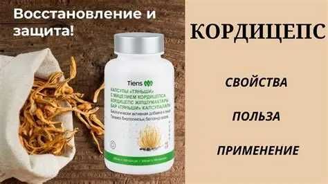 Кордицепс тяньши в капсулах