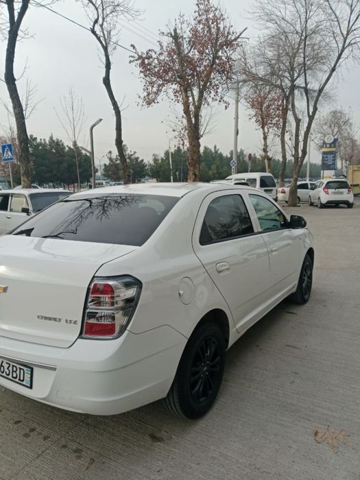 Cobalt mid night toza