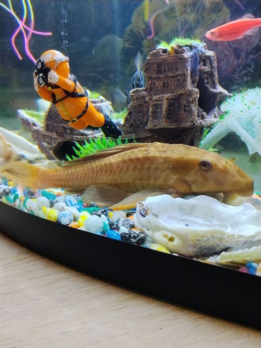 Пылесос парчовый