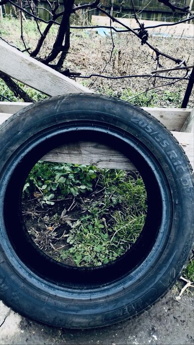 Amvelope iarna /vara Riken