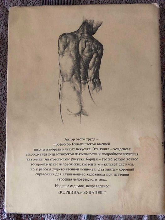 Барчаи Ене Анатомия для художников