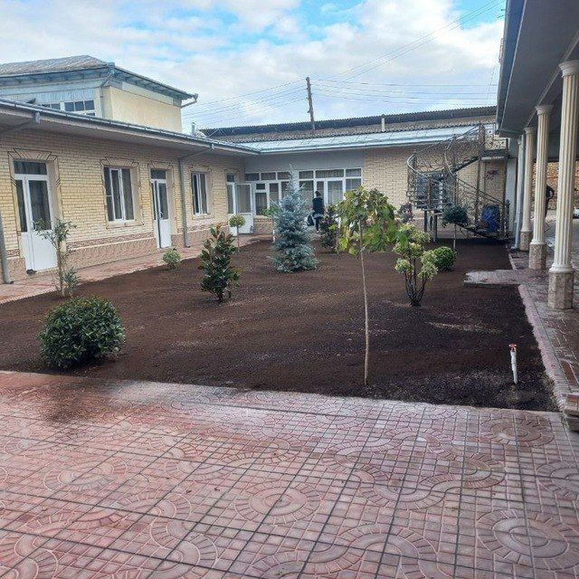 Arch gul dekratif daraxtlar ekish gazon ekish