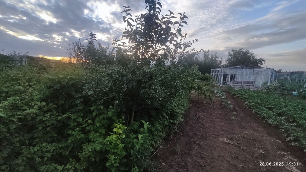 Продам дачу конца сезон на СОЮЗ