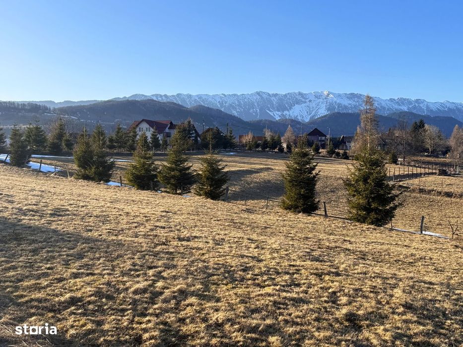 Teren Sirnea 3400 mp, intravilan, front la asfalt, zona Bran Moieciu