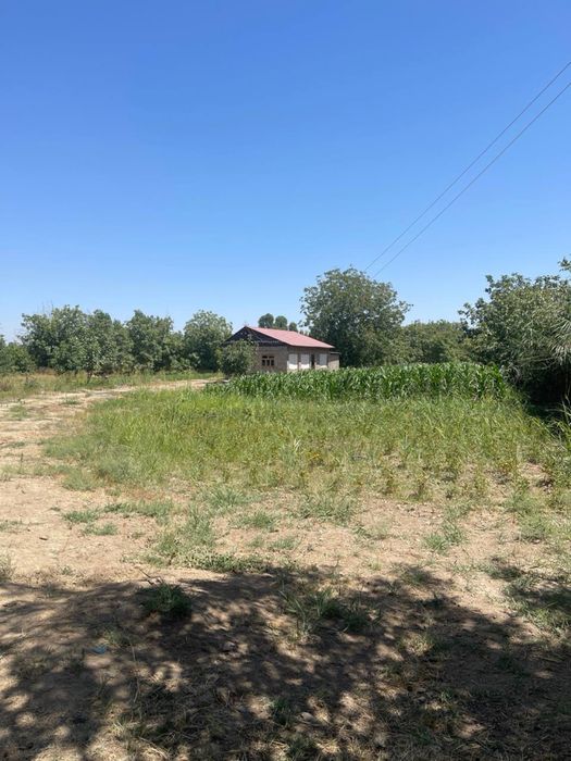 Земля 120 соток Ташморе