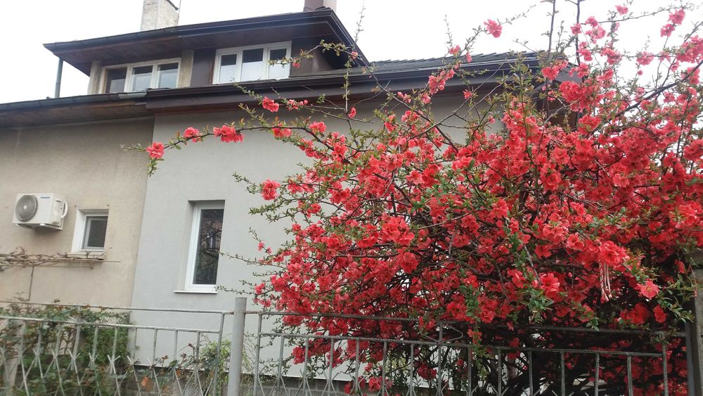 Продава се Къща в с. Бутан, Област Враца - 360 кв.м за 190 €/кв.м - Снимка #9