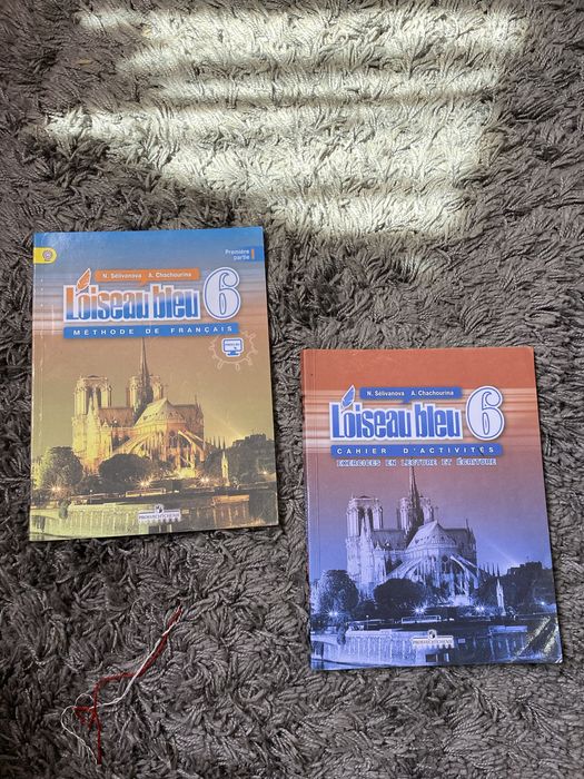 Пролам учебники «Синяя Птица » за 6 класс