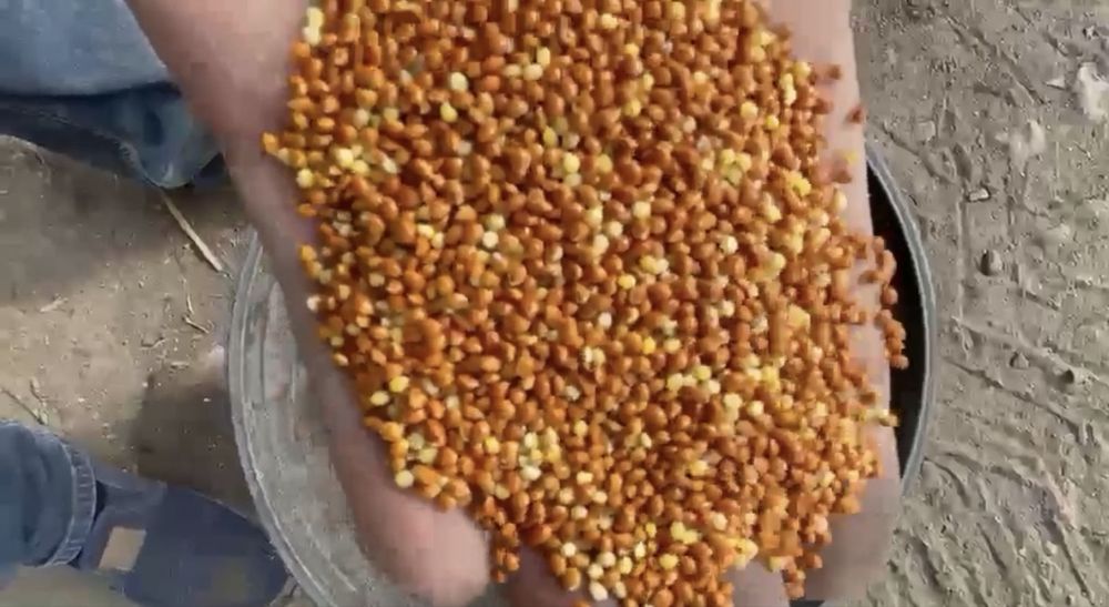 Продам Проссо (красное) в мешках