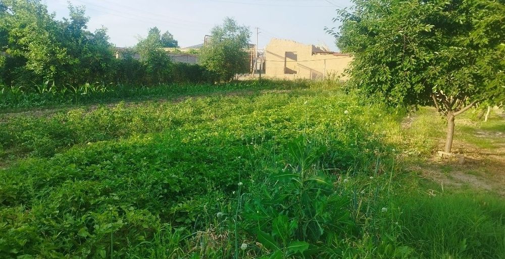 Uy sotiladi 18 sot, Parkent tumanida. Продается дом 18 сот