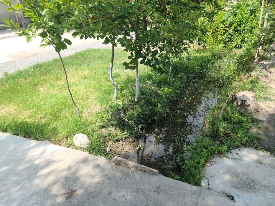 Шахар ичида кулай нархда ховли уй