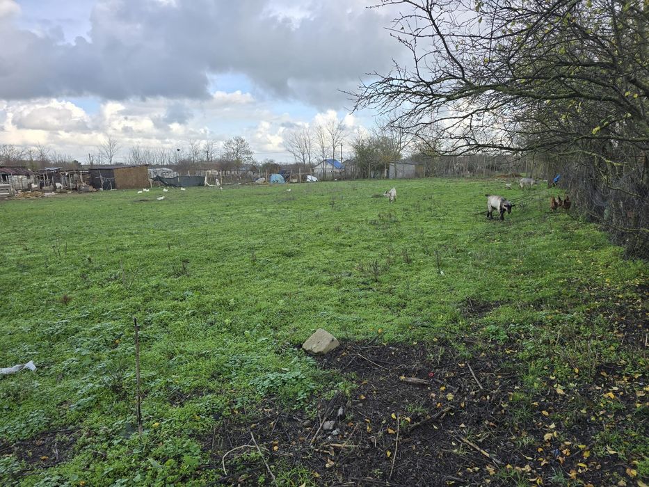 Teren  intravilan  Baraganu  Constanta