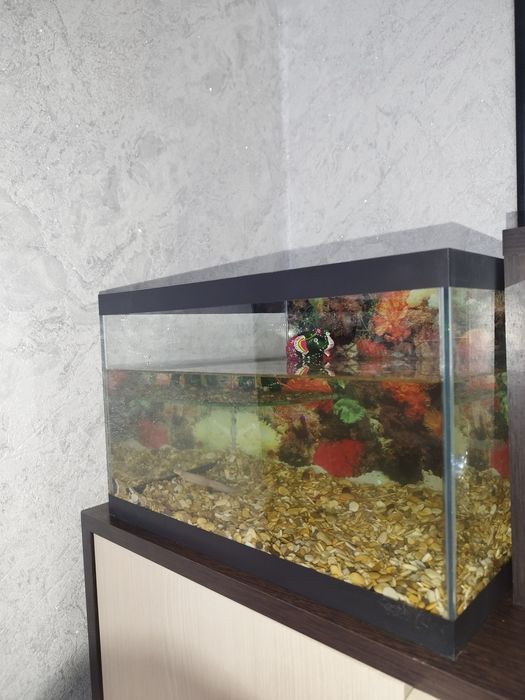 Аквариум продам .