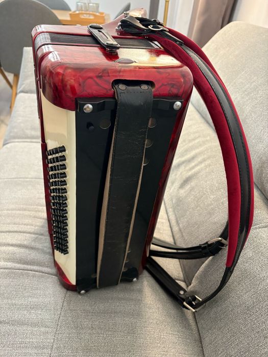 Acordeon Parrot/Baile cu 80 de basi