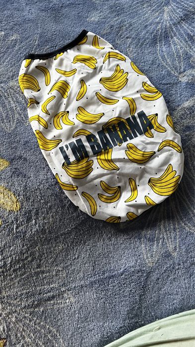 Футболки для собак